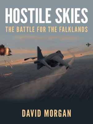 cover image of Hostile Skies